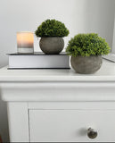 Faux Hebe in a Grey Pot - set of 2 - Trendy Barn Interiors
