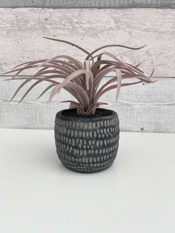 Light Purple Faux Airplant in a Dimpled Pot - Trendy Barn Interiors