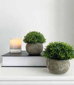 Faux Plants in a Grey Pot- set of 2 - Trendy Barn Interiors