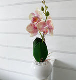 Pink and Cream Faux Orchid